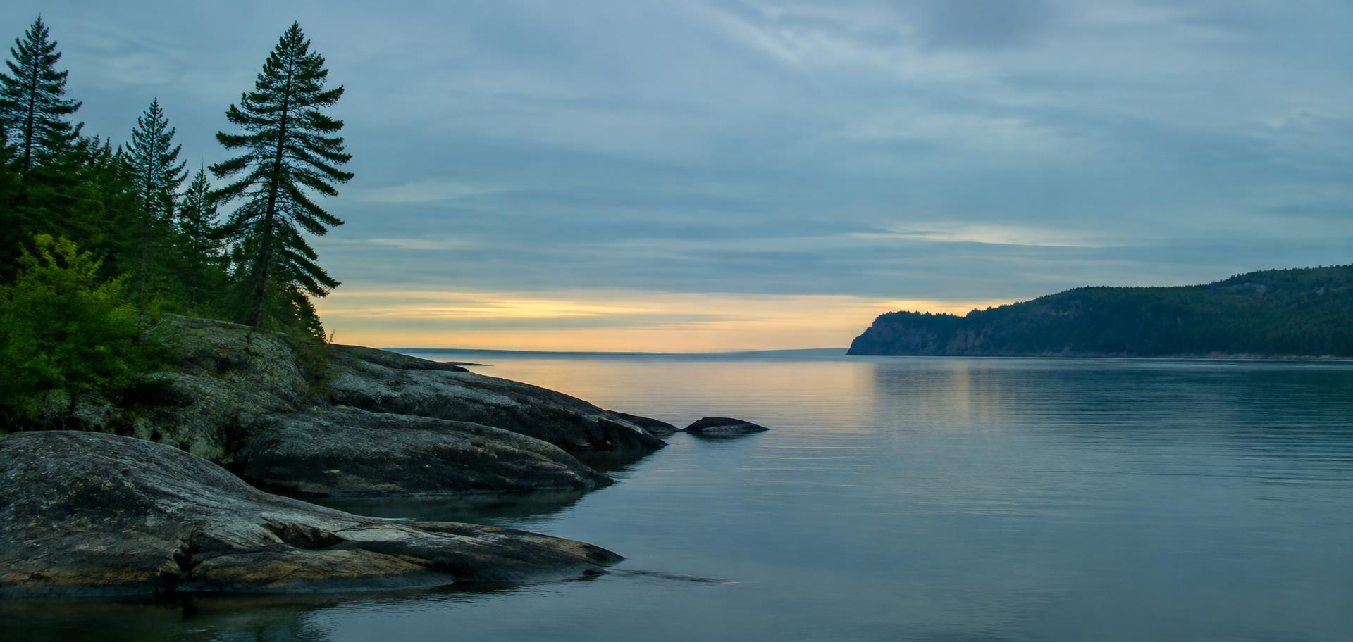 Quiet northern Minnesota shoreline with pines at dawn